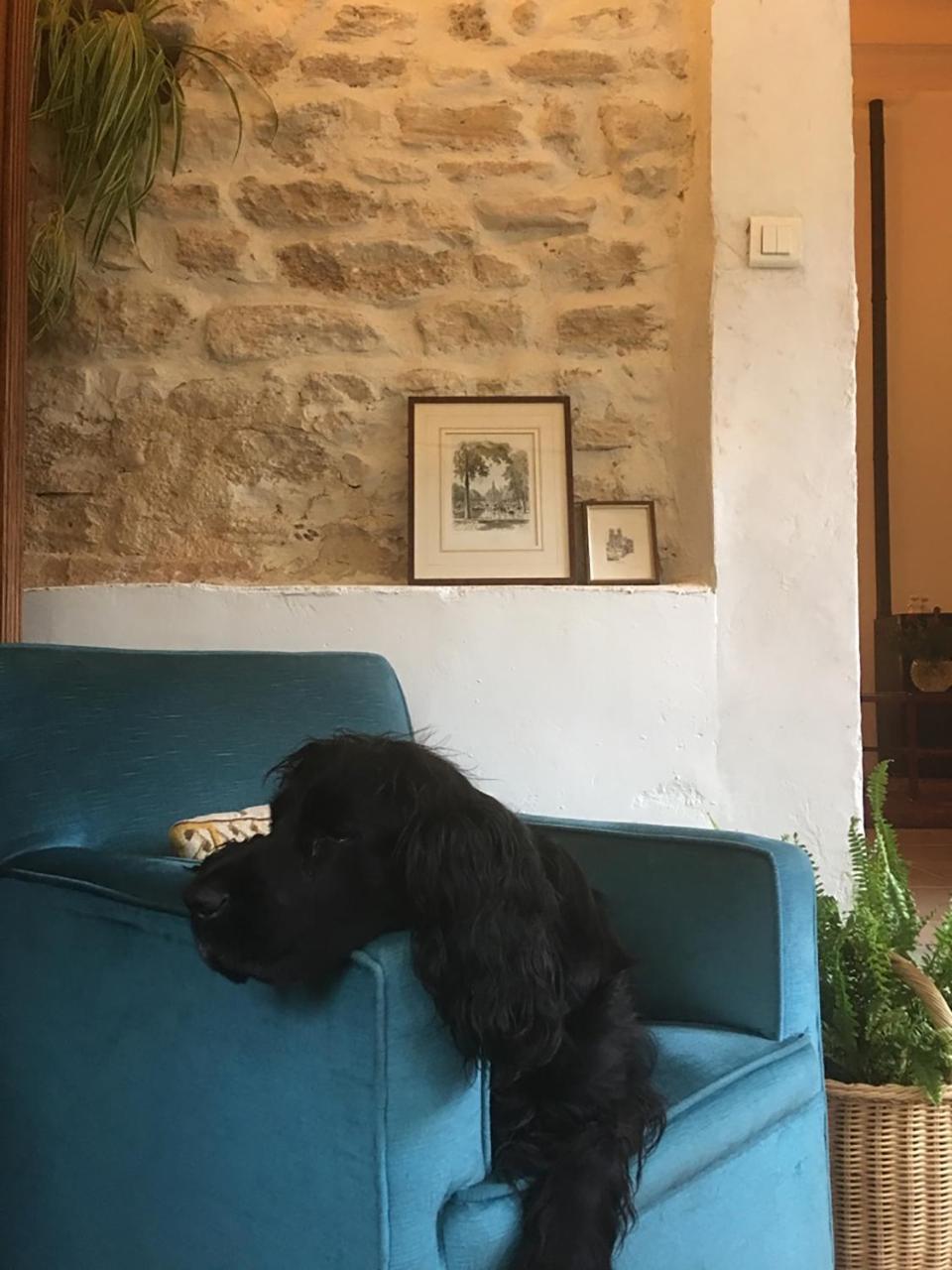 La Bergerie Pradel Bed and Breakfast Le Beaucet Εξωτερικό φωτογραφία